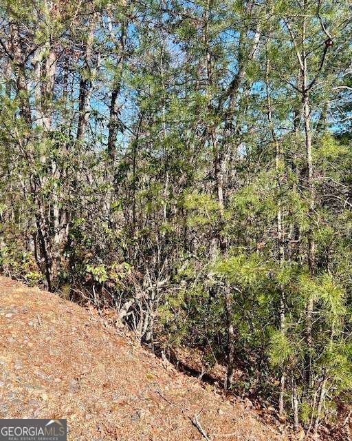 residential lot for sale at 0 Rosen Strasse, Helen, GA 30545 — photo 2