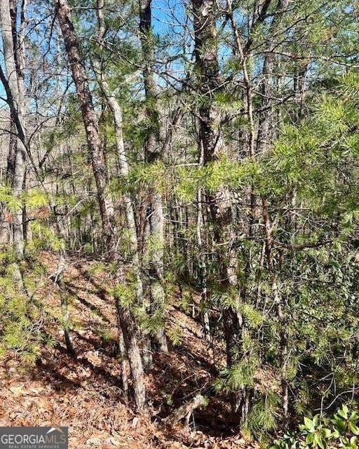 residential lot for sale at 0 Rosen Strasse, Helen, GA 30545 — photo 3