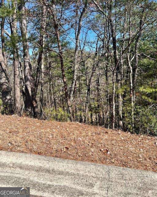 residential lot for sale at 0 Rosen Strasse, Helen, GA 30545 — photo 1 of 10