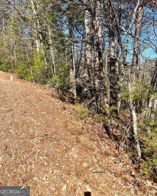 residential lot for sale at 0 Rosen Strasse, Helen, GA 30545 — photo 5