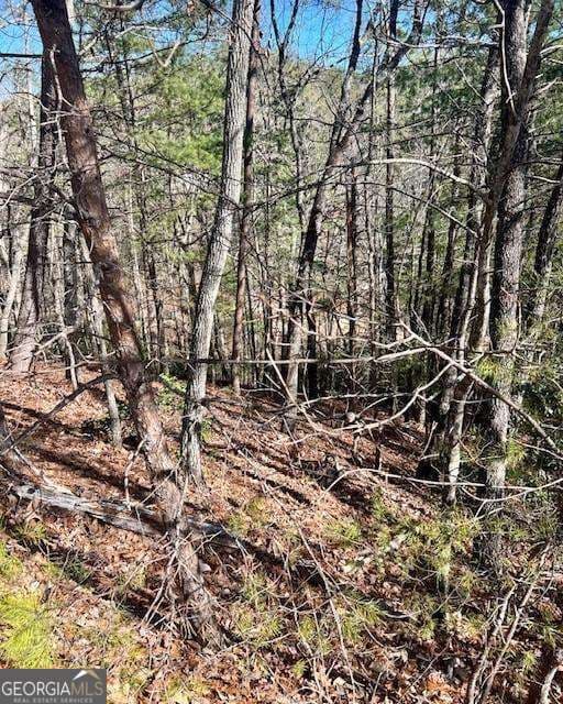 residential lot for sale at 0 Rosen Strasse, Helen, GA 30545 — photo 4