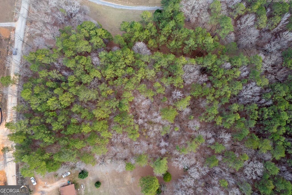 residential lot for sale at 445 Lake Laurel Road, Milledgeville, GA 31061 — photo 4