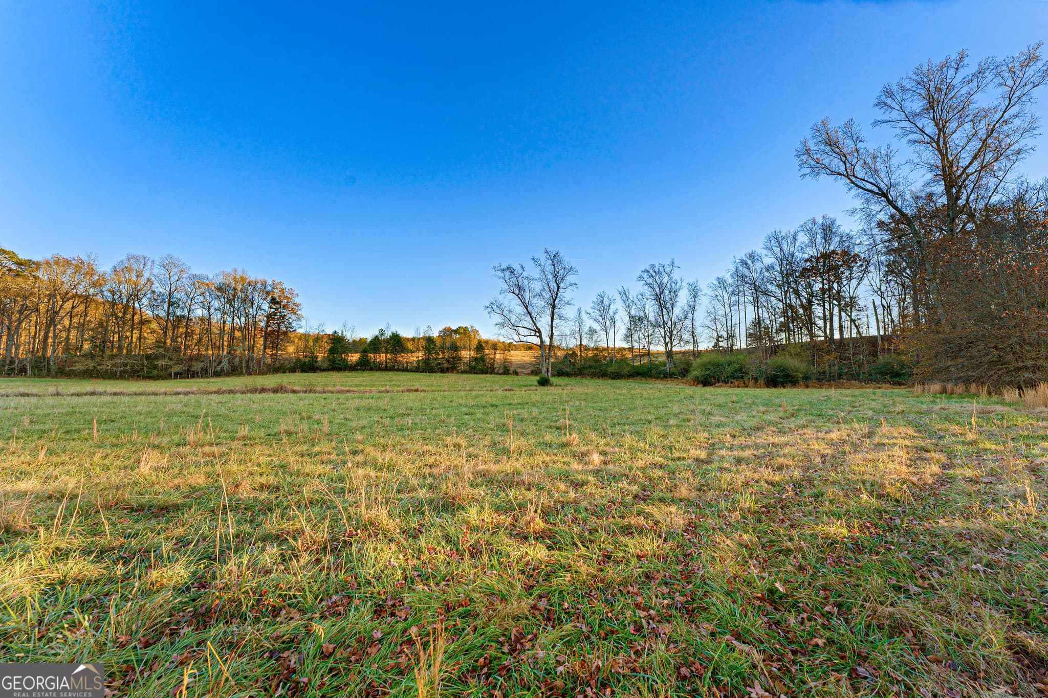 estate lot for sale at 3 Legacy Lane, Hartwell, GA 30643 — photo 2