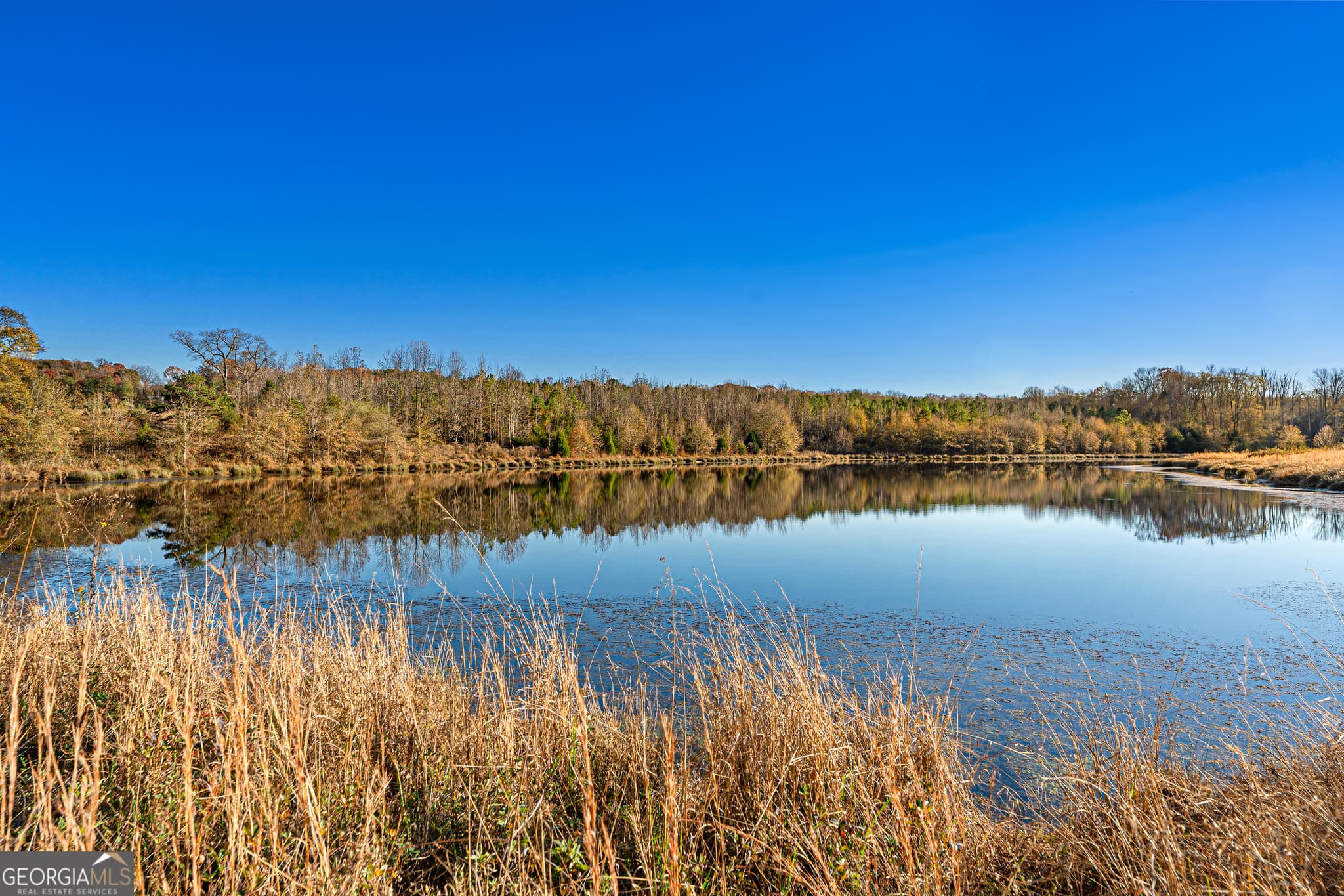 estate lot for sale at 3 Legacy Lane, Hartwell, GA 30643 — photo 6