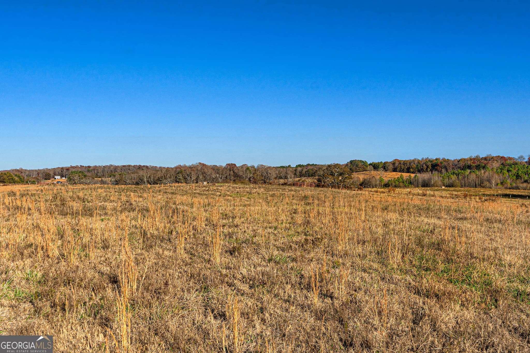 estate lot for sale at 3 Legacy Lane, Hartwell, GA 30643 — photo 7