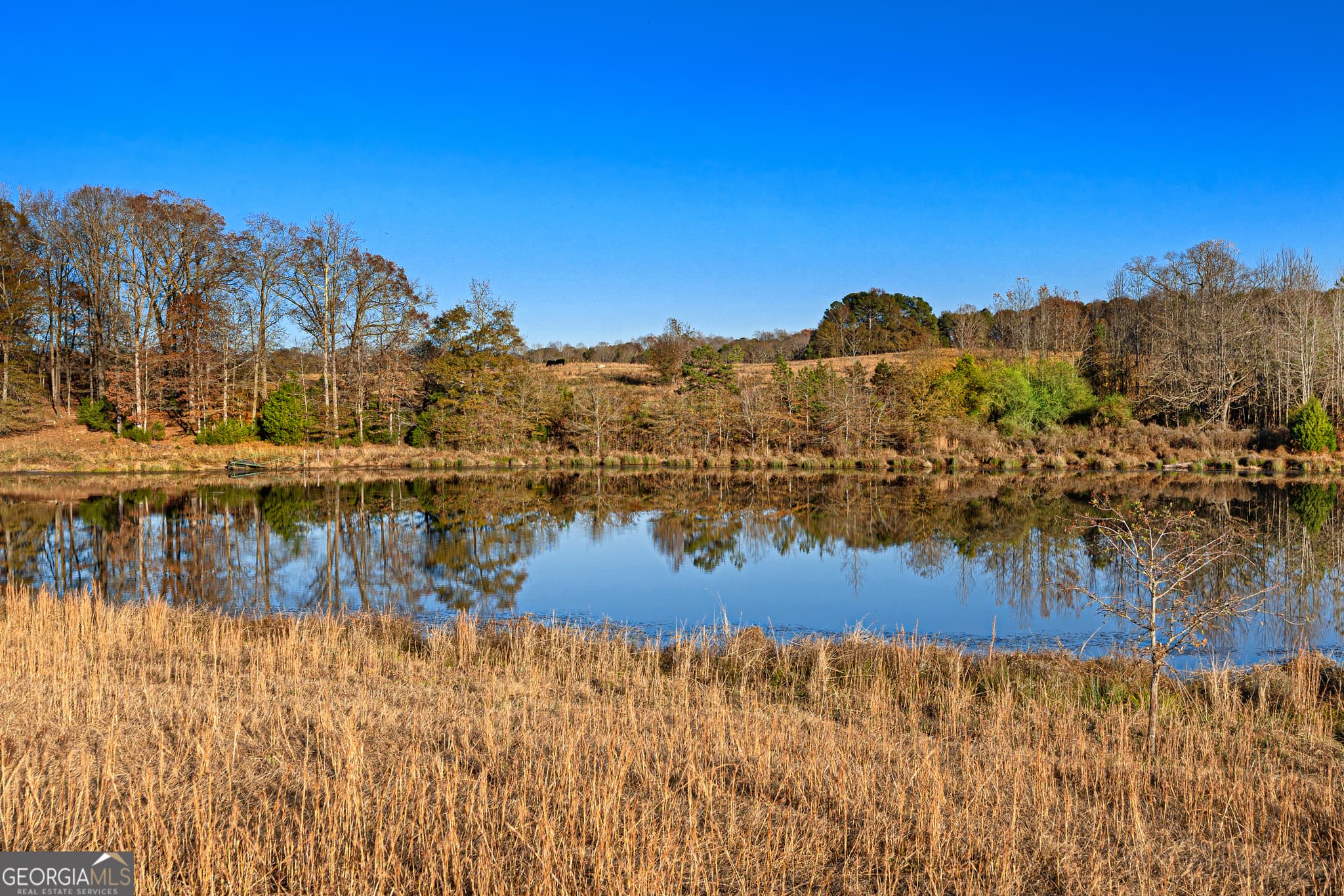 estate lot for sale at 3 Legacy Lane, Hartwell, GA 30643 — photo 5