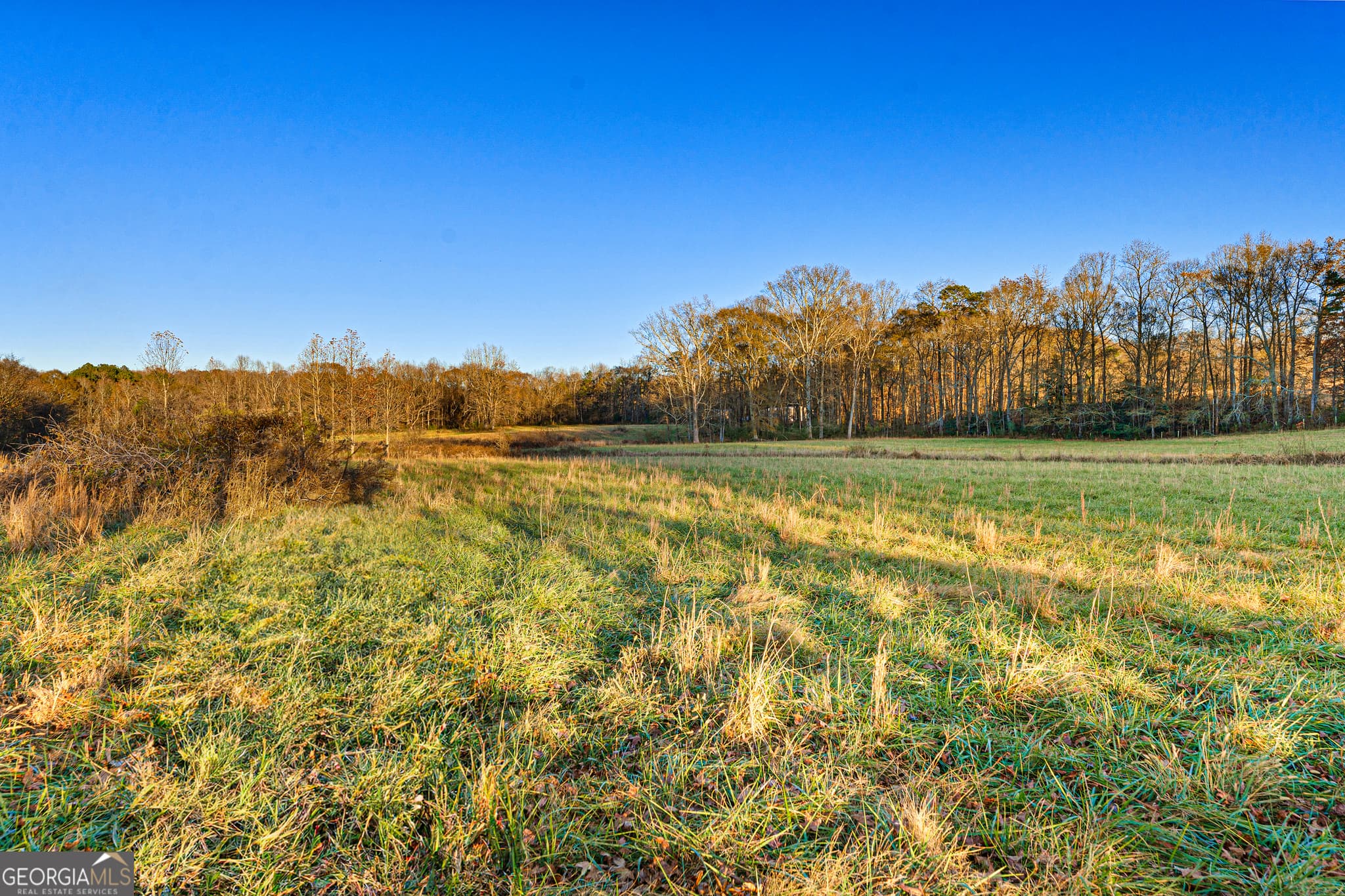 estate lot for sale at 3 Legacy Lane, Hartwell, GA 30643 — photo 9