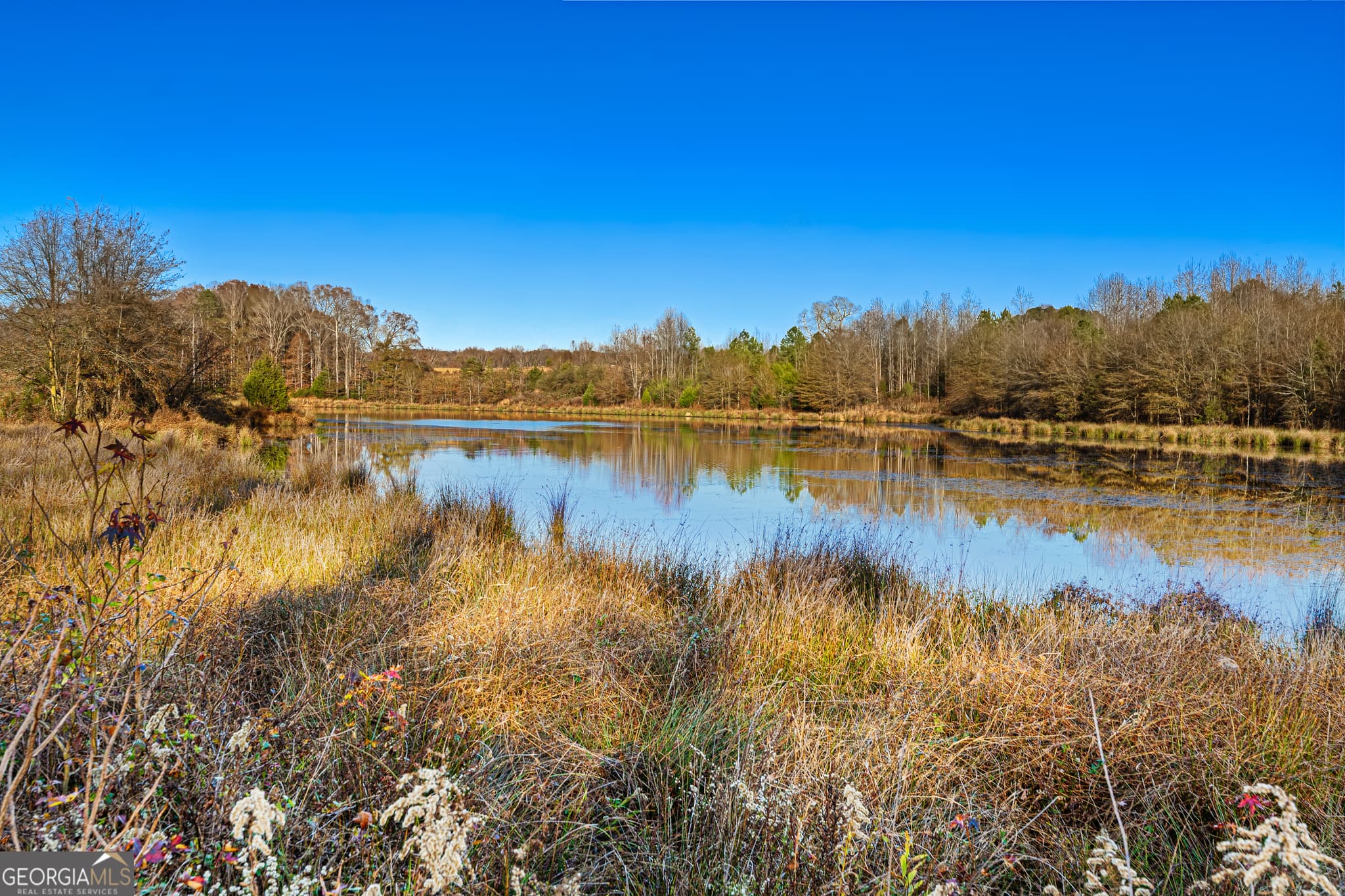 estate lot for sale at 3 Legacy Lane, Hartwell, GA 30643 — photo 4