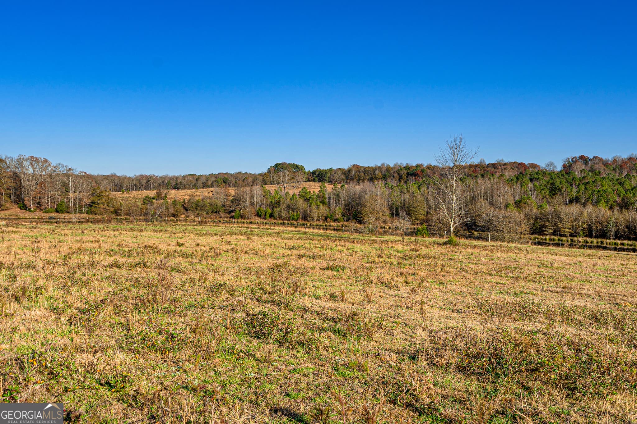 estate lot for sale at 3 Legacy Lane, Hartwell, GA 30643 — photo 8
