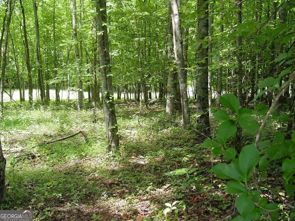 residential lot for sale at #13 Dan Knob, Hayesville, NC 28904 — photo 2