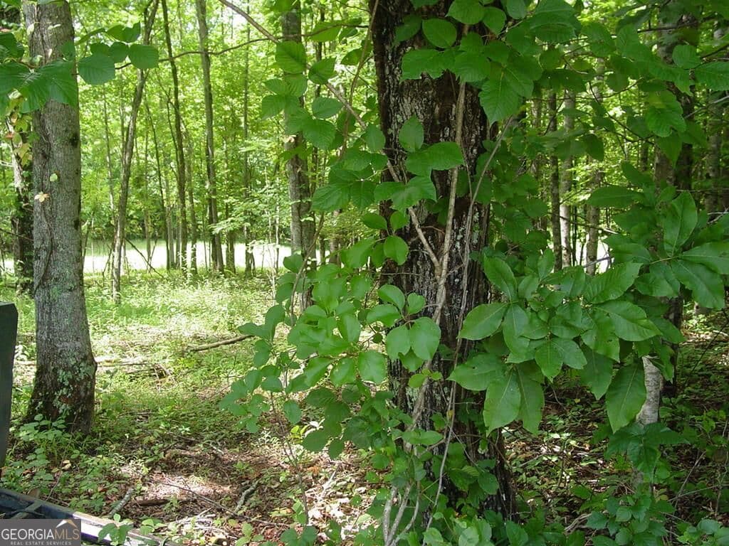 residential lot for sale at #13 Dan Knob, Hayesville, NC 28904 — photo 1 of 5