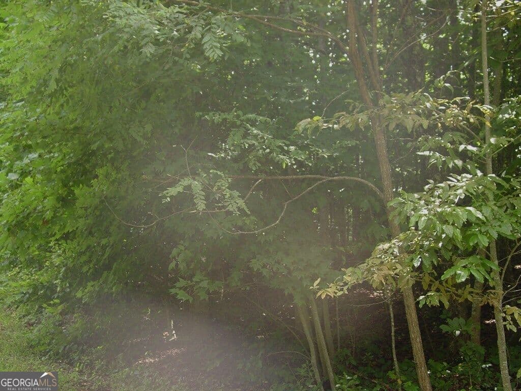 residential lot for sale at #13 Dan Knob, Hayesville, NC 28904 — photo 5