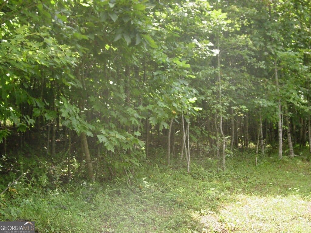 residential lot for sale at #13 Dan Knob, Hayesville, NC 28904 — photo 4