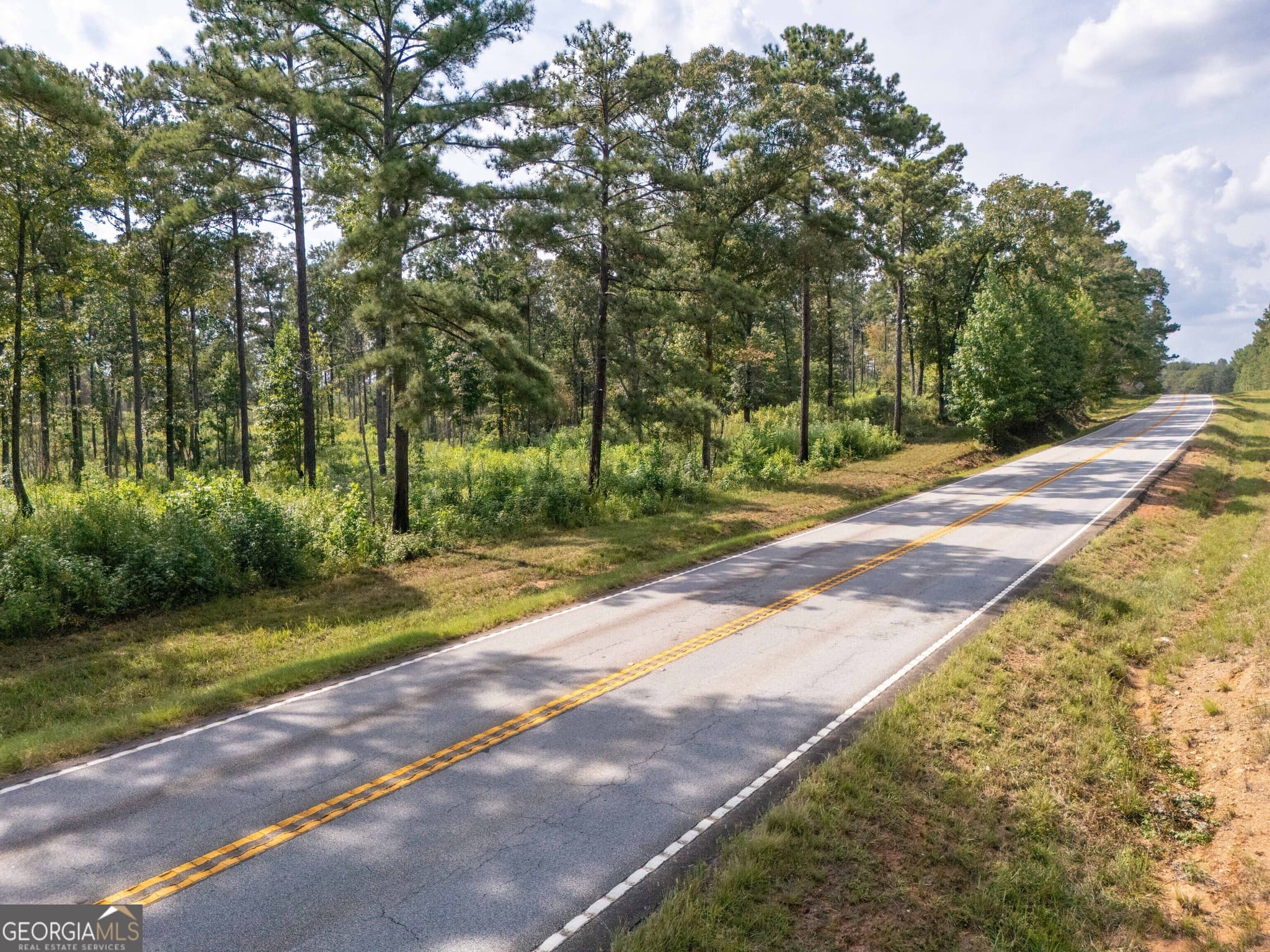 estate lot for sale at 0 Hwy 100 9 TUCKER WAY, Franklin, GA 30217 — photo 7