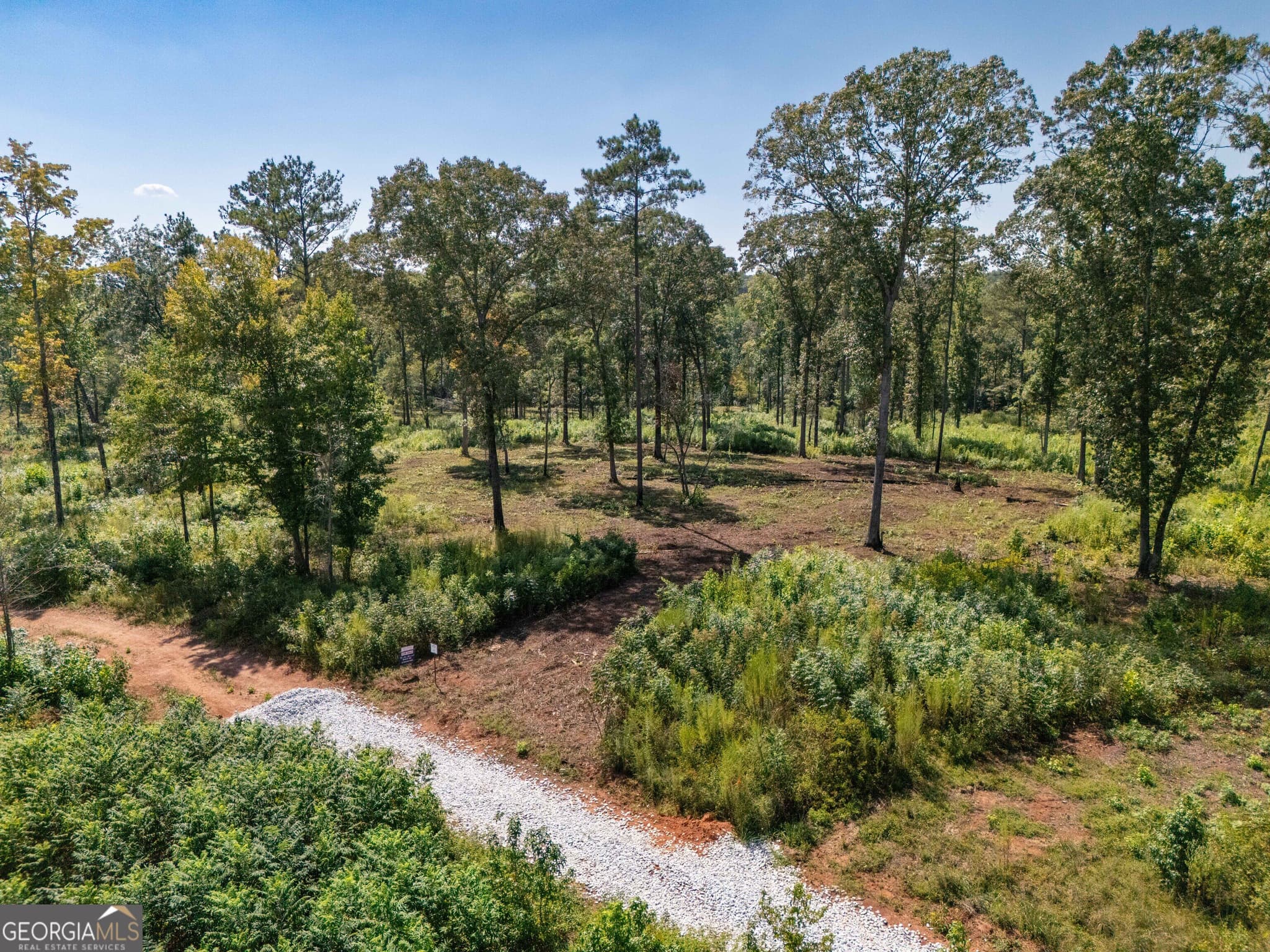 estate lot for sale at 0 Hwy 100 9 TUCKER WAY, Franklin, GA 30217