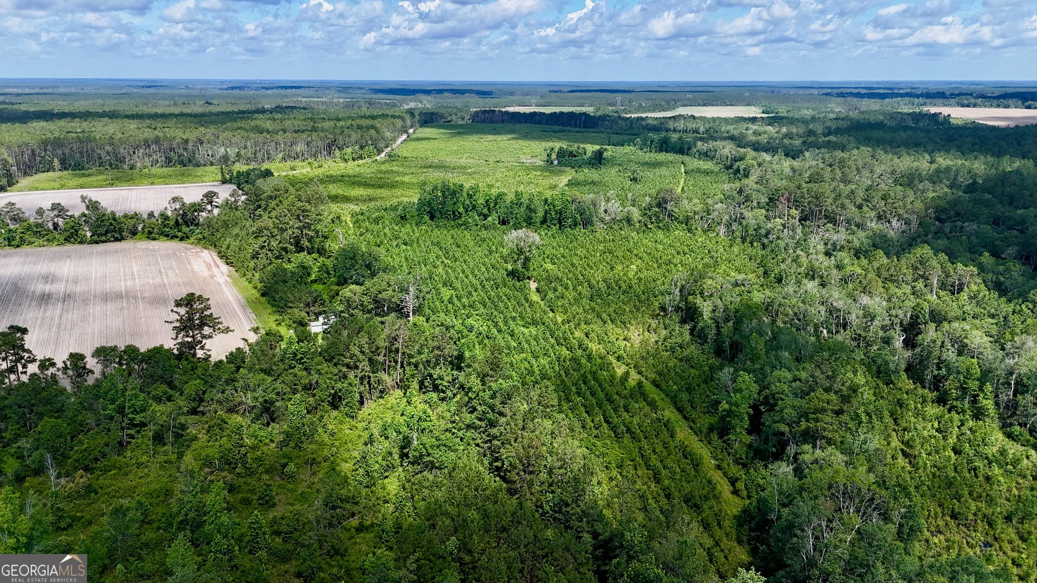 agriculture sold at TRACT 4 Bennett Mill Pond Road, Odum, GA 31555