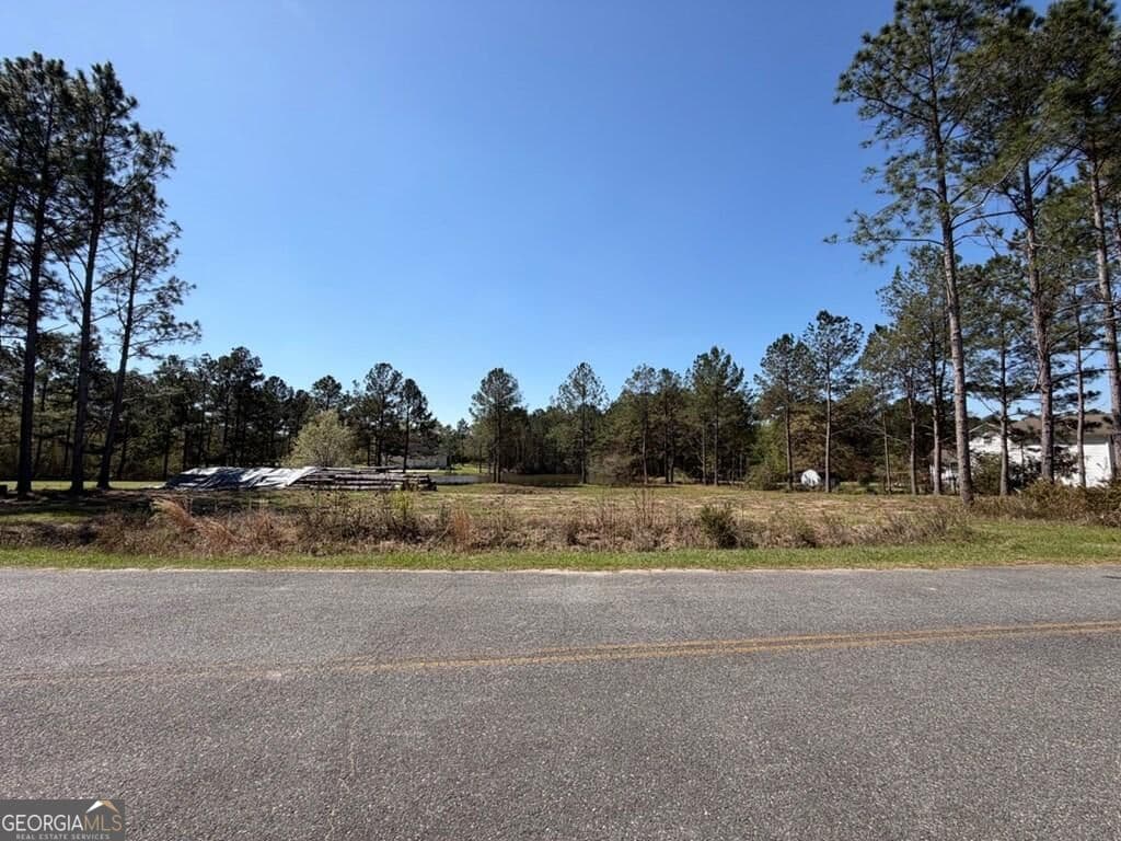residential lot for sale at 38 Duck Drive, Tifton, GA 31793 — photo 3