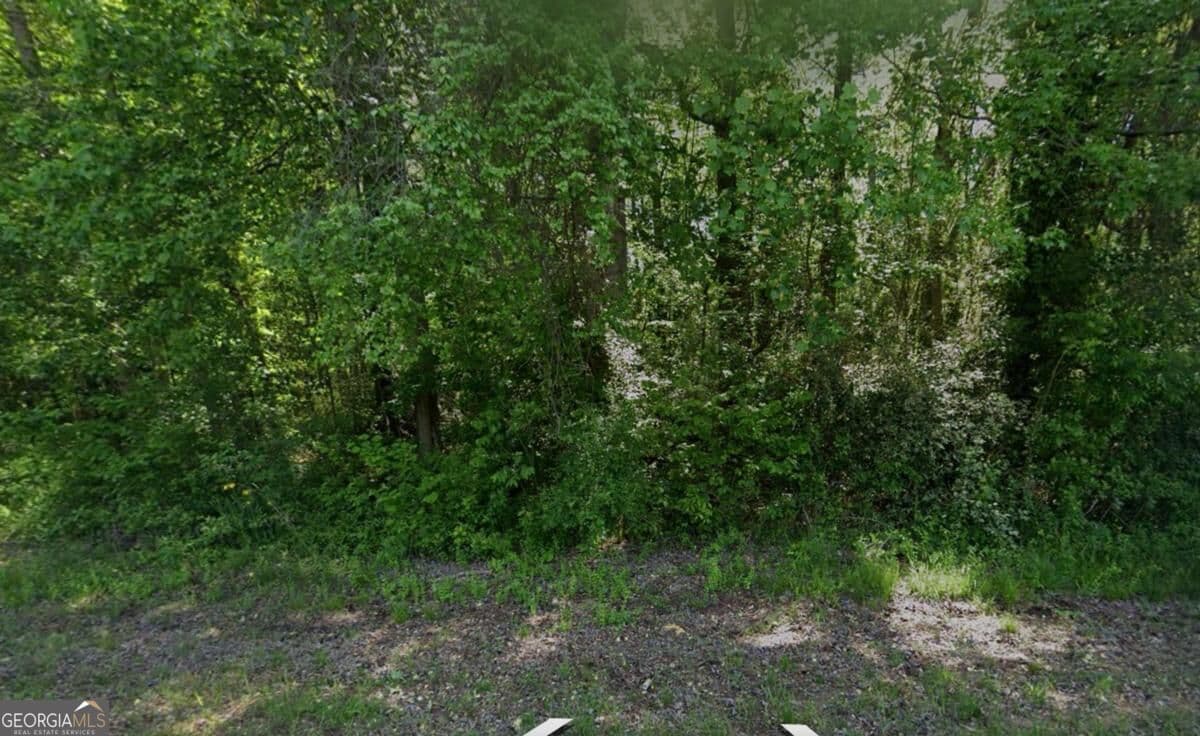 residential lot for sale at 1374 Zebulon Road, Griffin, GA 30224 — photo 1 of 1