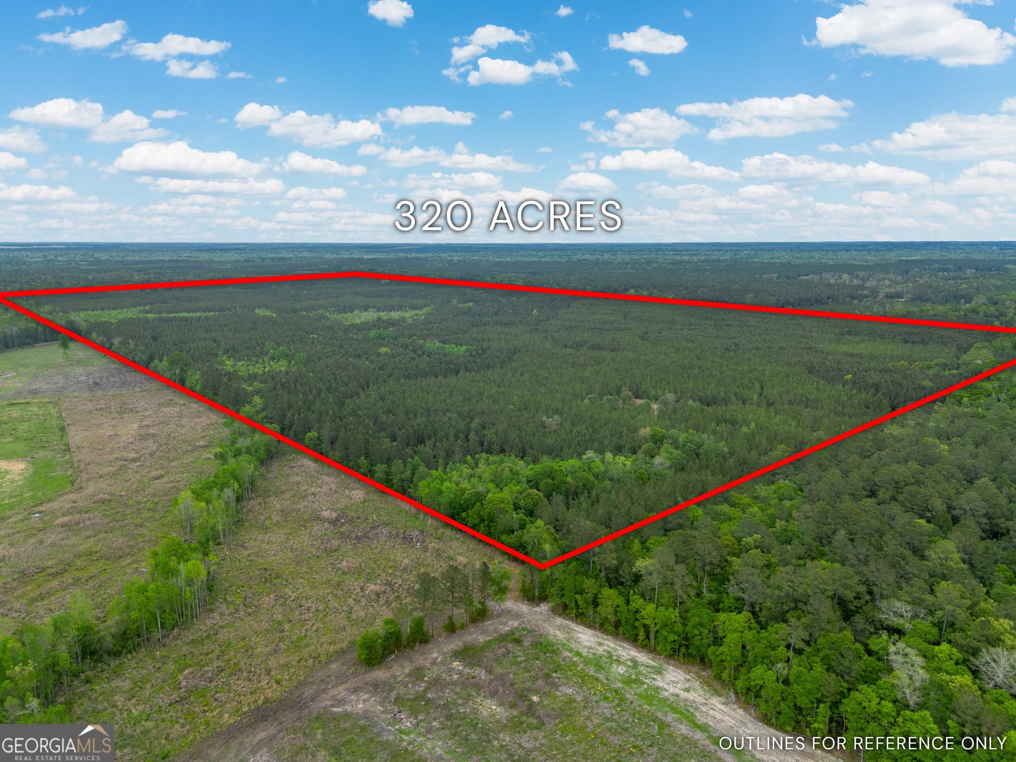 agriculture for sale at 0 Highway 129, Abbeville, GA 31001 — photo 2