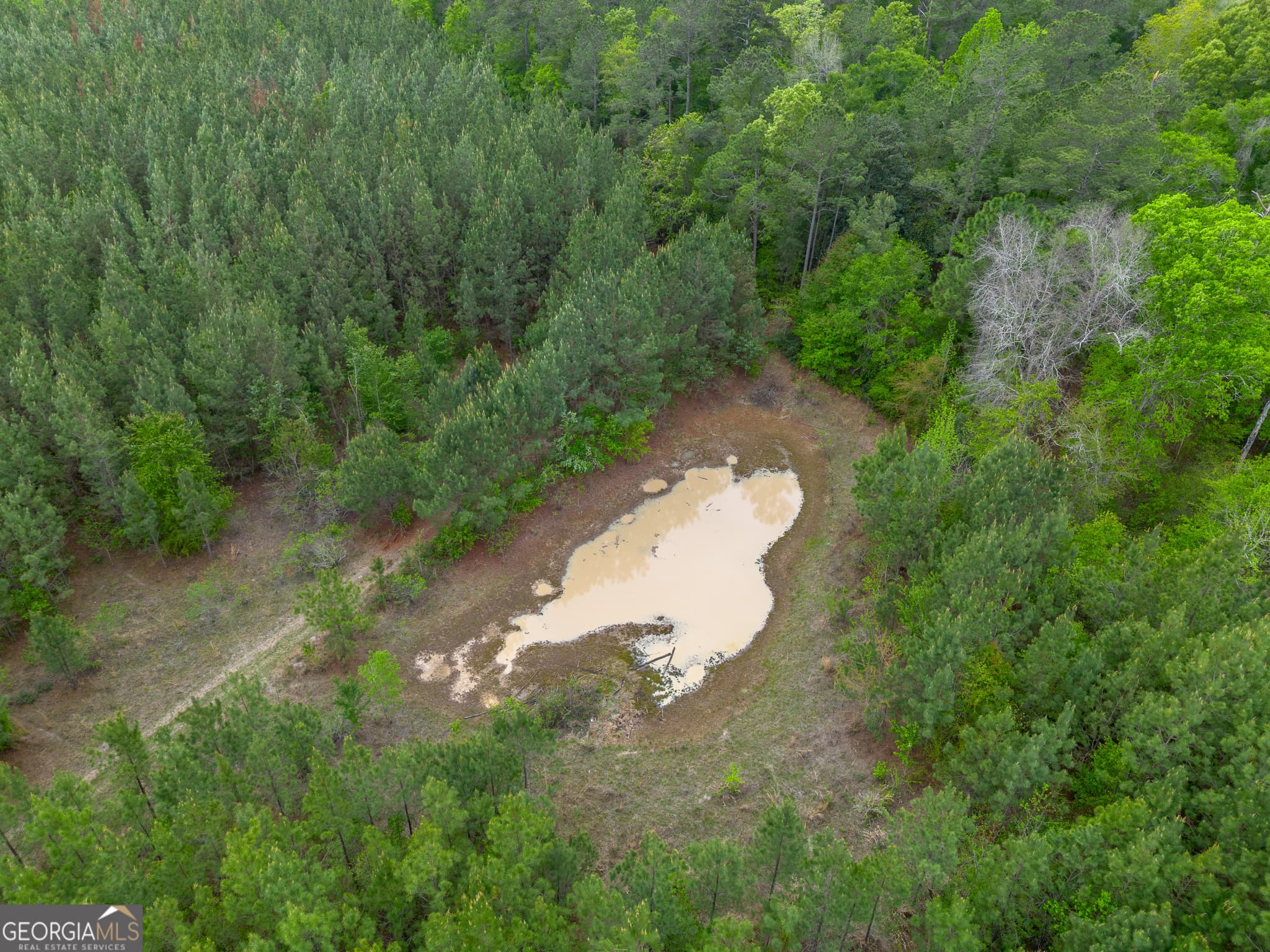 agriculture for sale at 0 Highway 129, Abbeville, GA 31001 — photo 6
