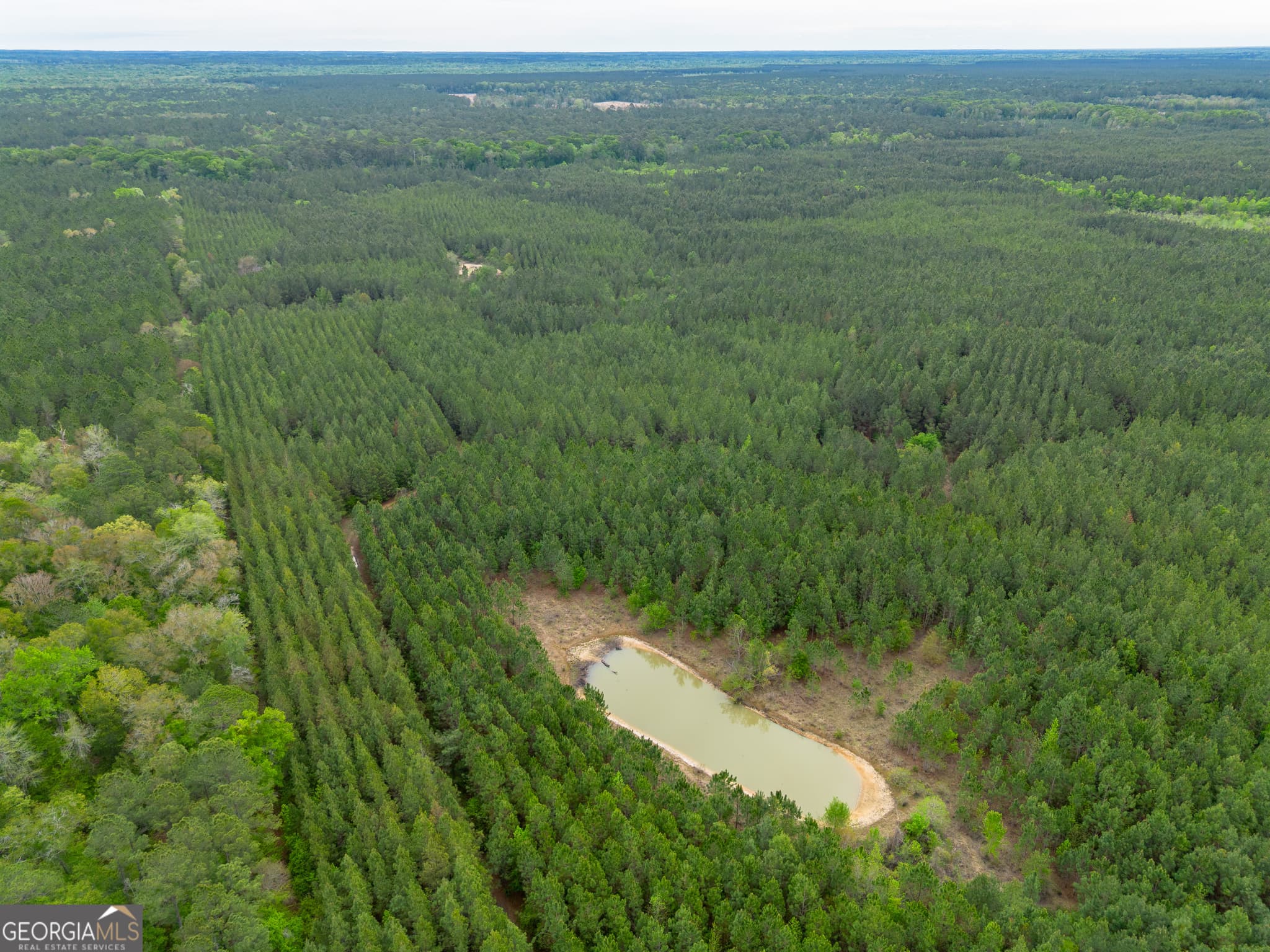 agriculture for sale at 0 Highway 129, Abbeville, GA 31001 — photo 3
