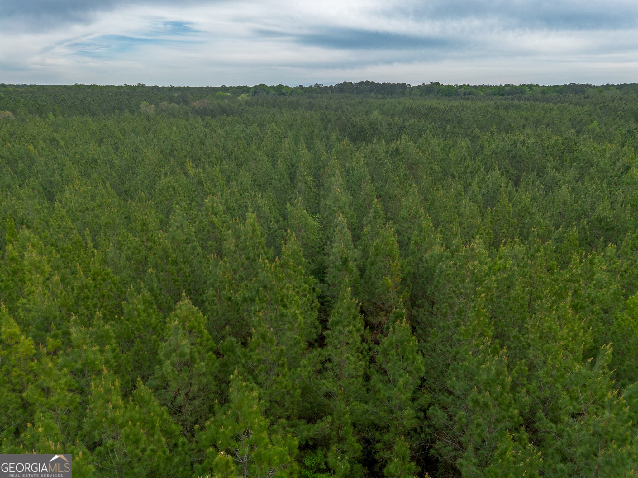 agriculture for sale at 0 Highway 129, Abbeville, GA 31001 — photo 9