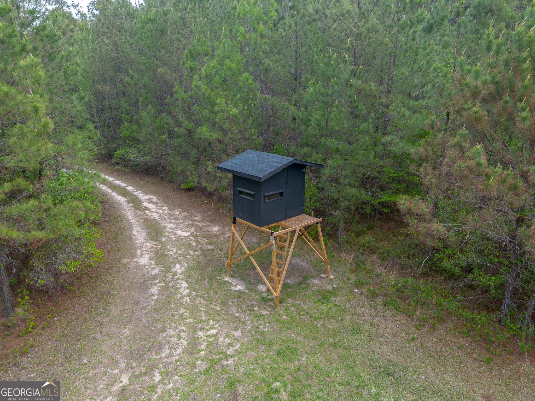 agriculture for sale at 0 Highway 129, Abbeville, GA 31001 — photo 10