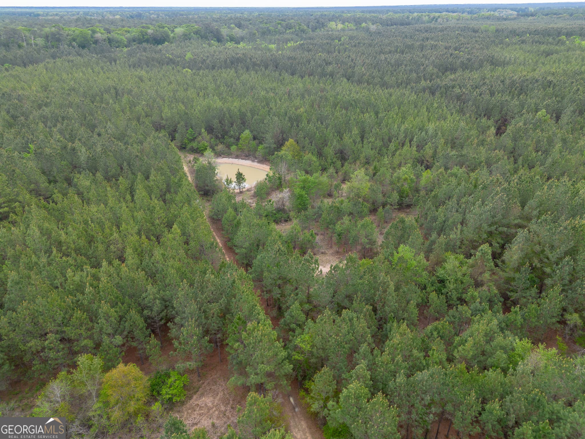 agriculture for sale at 0 Highway 129, Abbeville, GA 31001 — photo 8