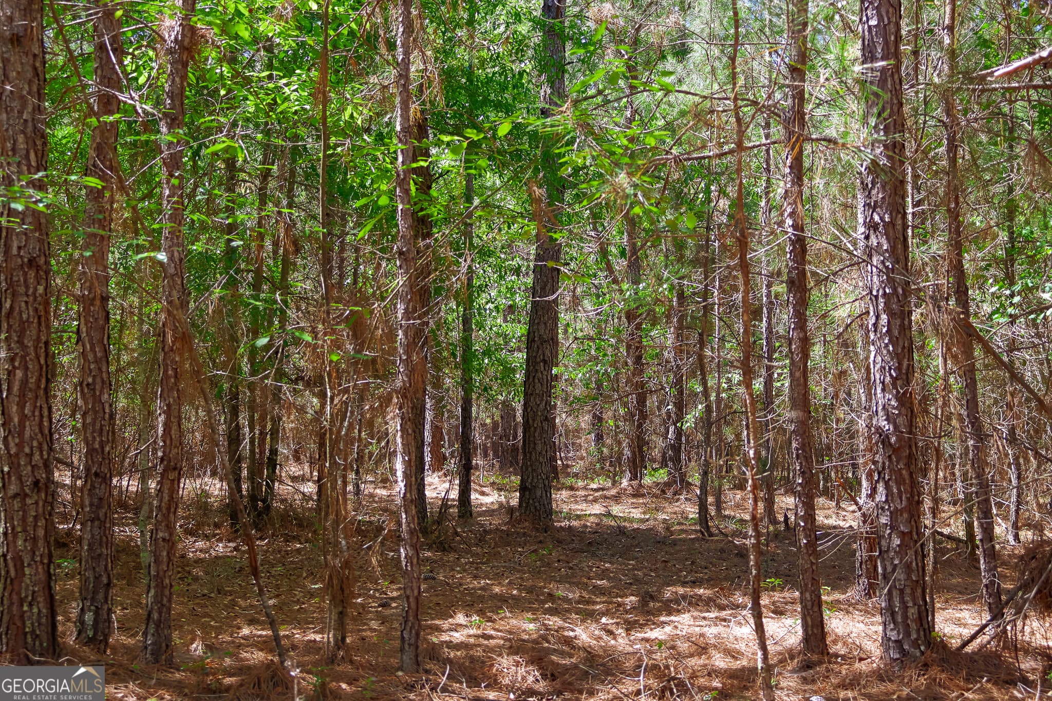 unimproved land for sale at 0 Effingham Highway, Sylvania, GA 30467