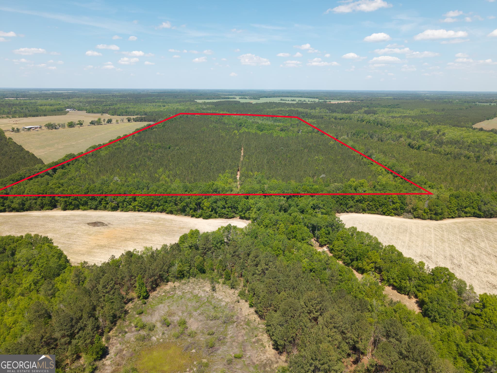 unimproved land for sale at 0 Effingham Highway, Sylvania, GA 30467 — photo 9