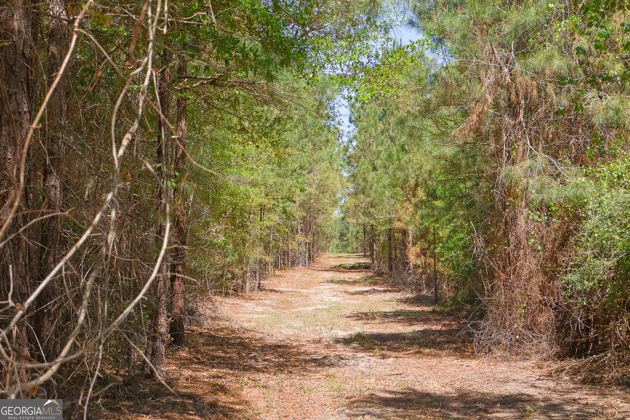 unimproved land for sale at 0 Effingham Highway, Sylvania, GA 30467 — photo 10