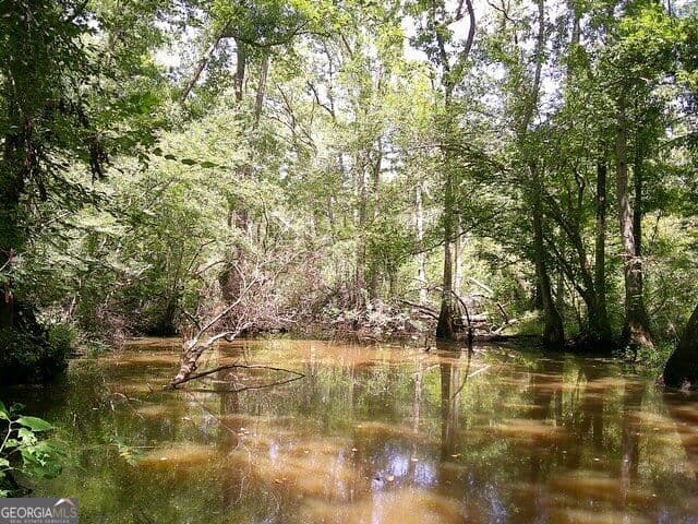 unimproved land for sale at 0 Highway 221, Kite, GA 31049 — photo 2