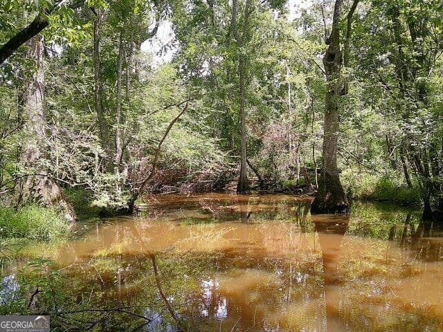 unimproved land for sale at 0 Highway 221, Kite, GA 31049 — photo 6