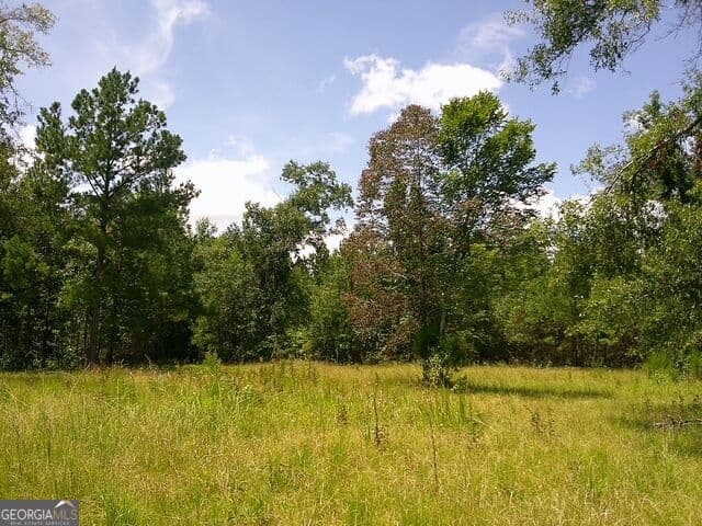 unimproved land for sale at 0 Highway 221, Kite, GA 31049 — photo 7