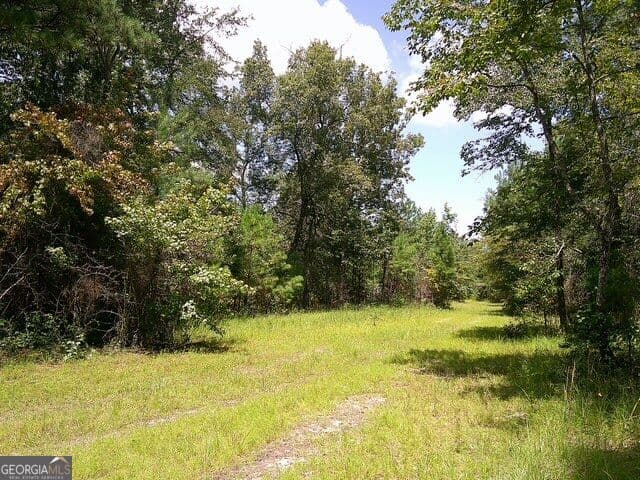 unimproved land for sale at 0 Highway 221, Kite, GA 31049 — photo 3