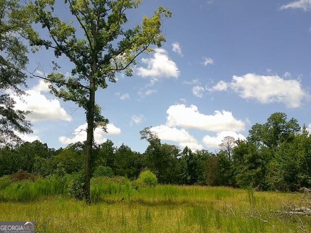 unimproved land for sale at 0 Highway 221, Kite, GA 31049 — photo 1 of 24
