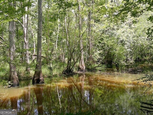 unimproved land for sale at 0 Highway 221, Kite, GA 31049 — photo 5