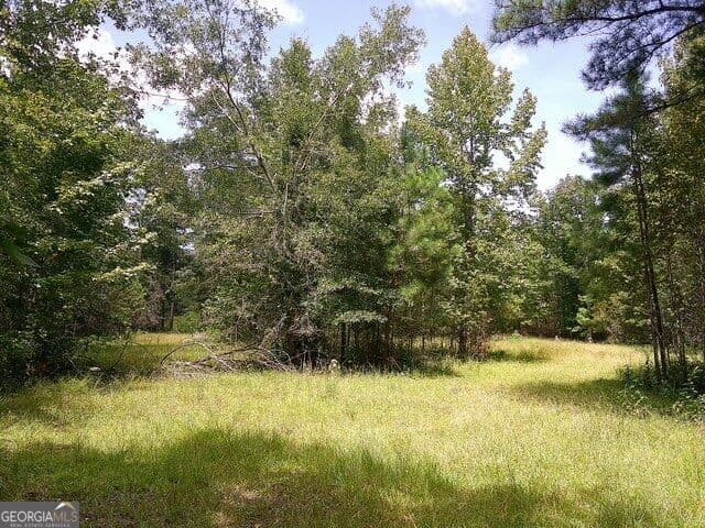 unimproved land for sale at 0 Highway 221, Kite, GA 31049 — photo 9