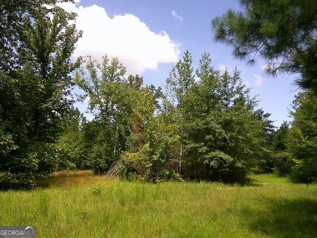 unimproved land for sale at 0 Highway 221, Kite, GA 31049 — photo 10