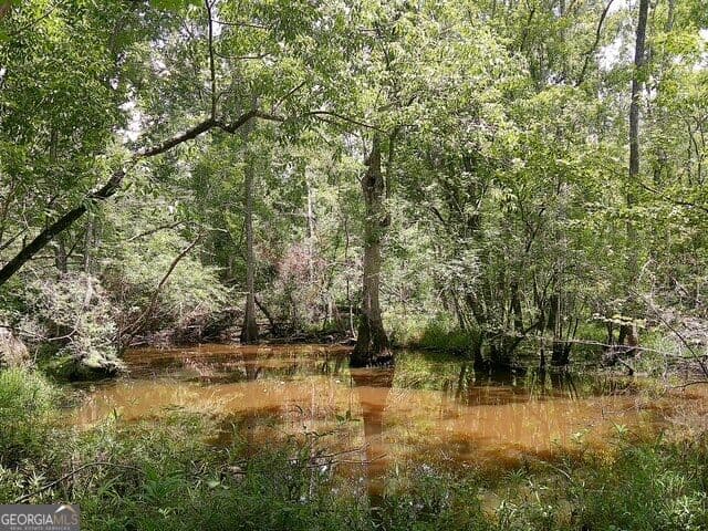 unimproved land for sale at 0 Highway 221, Kite, GA 31049 — photo 4
