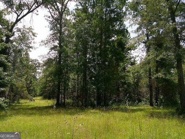 unimproved land for sale at 0 Highway 221, Kite, GA 31049 — photo 8