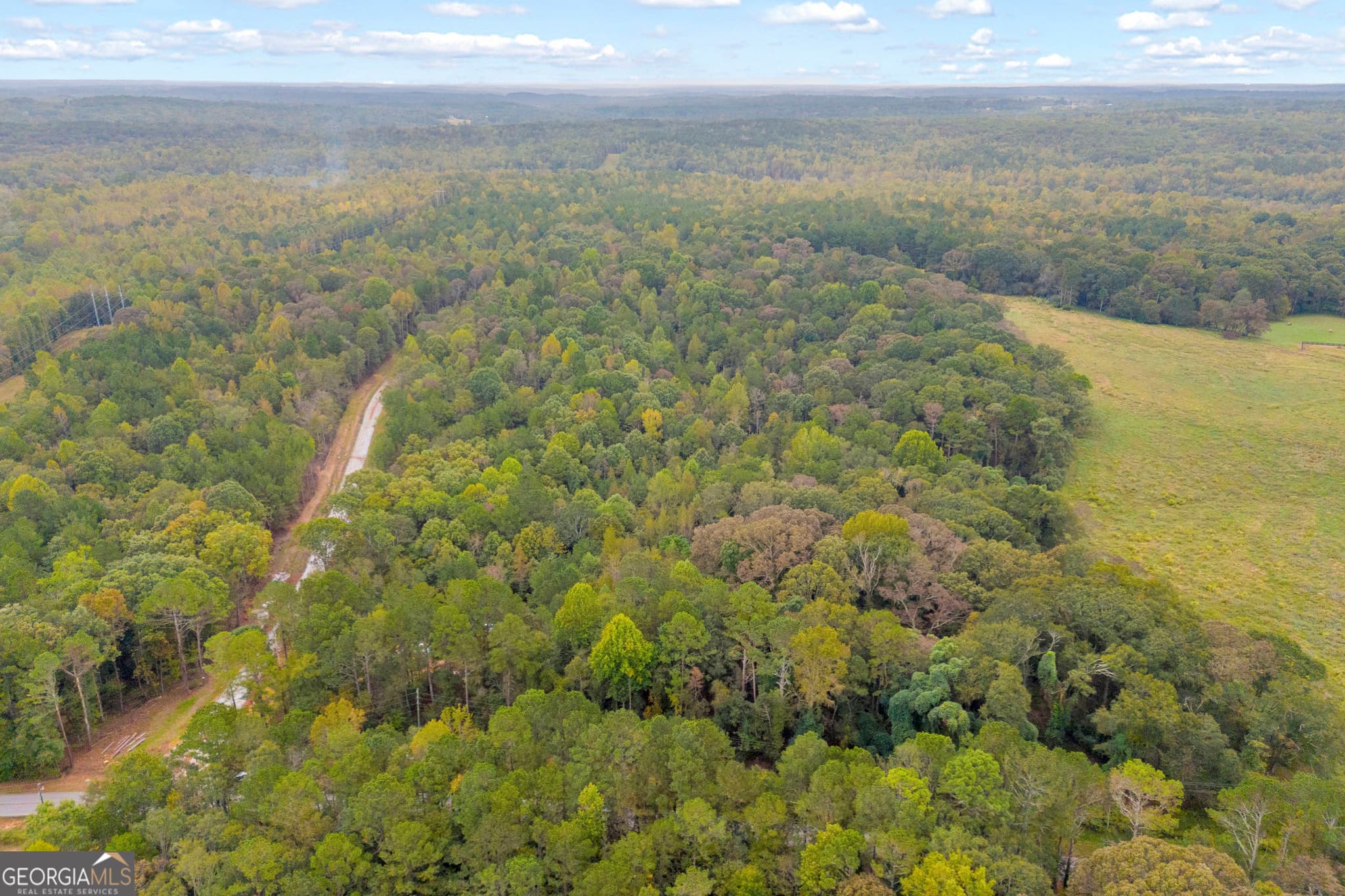 agriculture for sale at 0 Curry Farms Road LOT 29, Jefferson, GA 30549 — photo 10