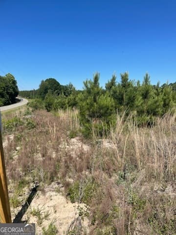unimproved land for sale at 0 Abbeville Highway, Eastman, GA 31023 — photo 2
