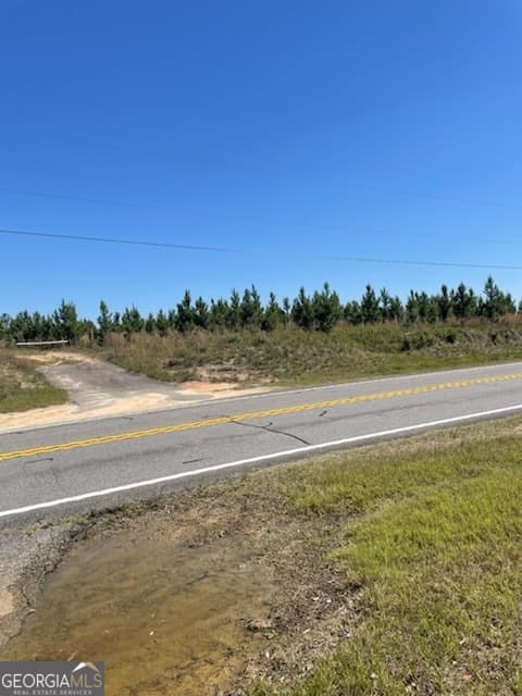 unimproved land for sale at 0 Abbeville Highway, Eastman, GA 31023 — photo 6