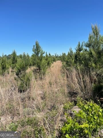 unimproved land for sale at 0 Abbeville Highway, Eastman, GA 31023 — photo 3