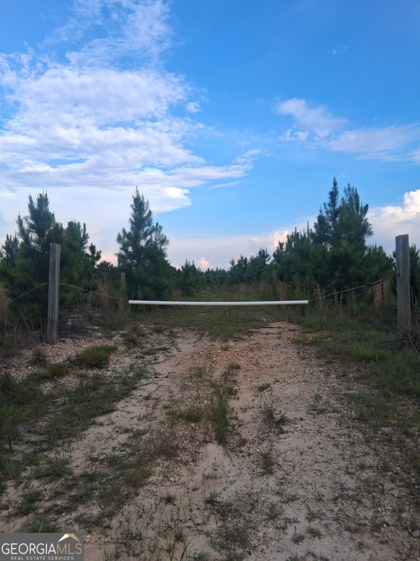 unimproved land for sale at 0 Abbeville Highway, Eastman, GA 31023 — photo 1 of 6