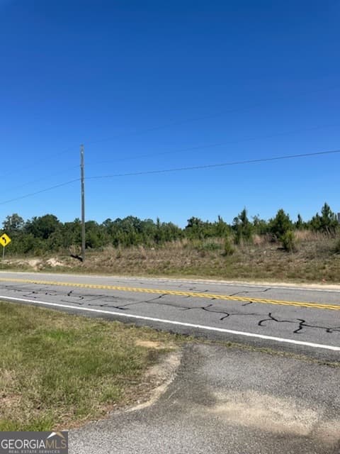 unimproved land for sale at 0 Abbeville Highway, Eastman, GA 31023 — photo 5