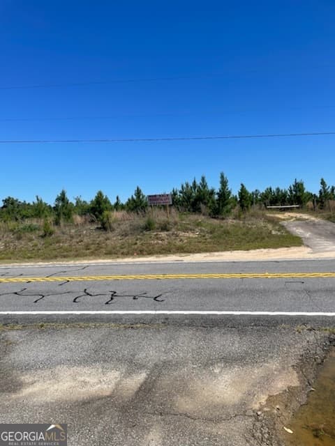 unimproved land for sale at 0 Abbeville Highway, Eastman, GA 31023 — photo 4