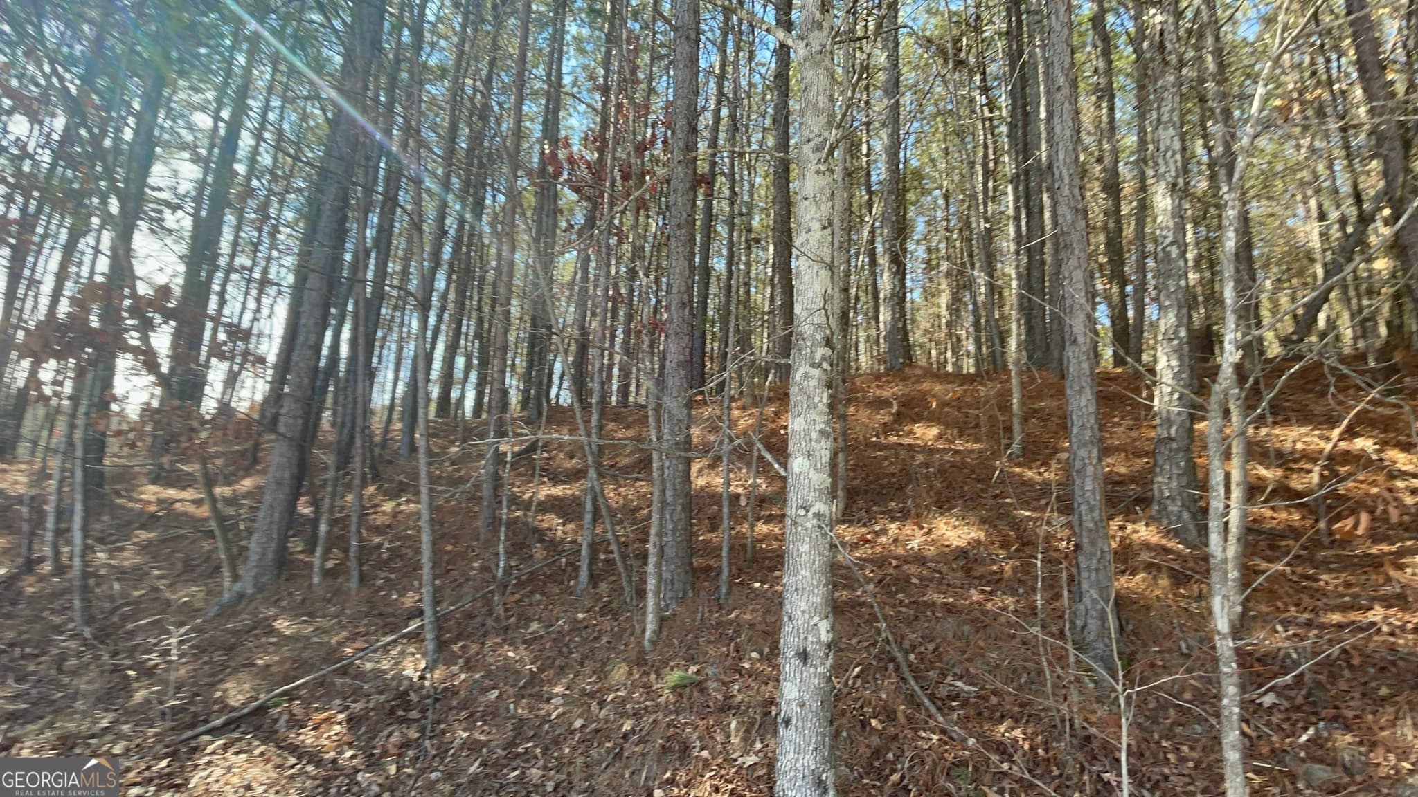 unimproved land for sale at 0 Shannon Parkway, Union City, GA 30291 — photo 6