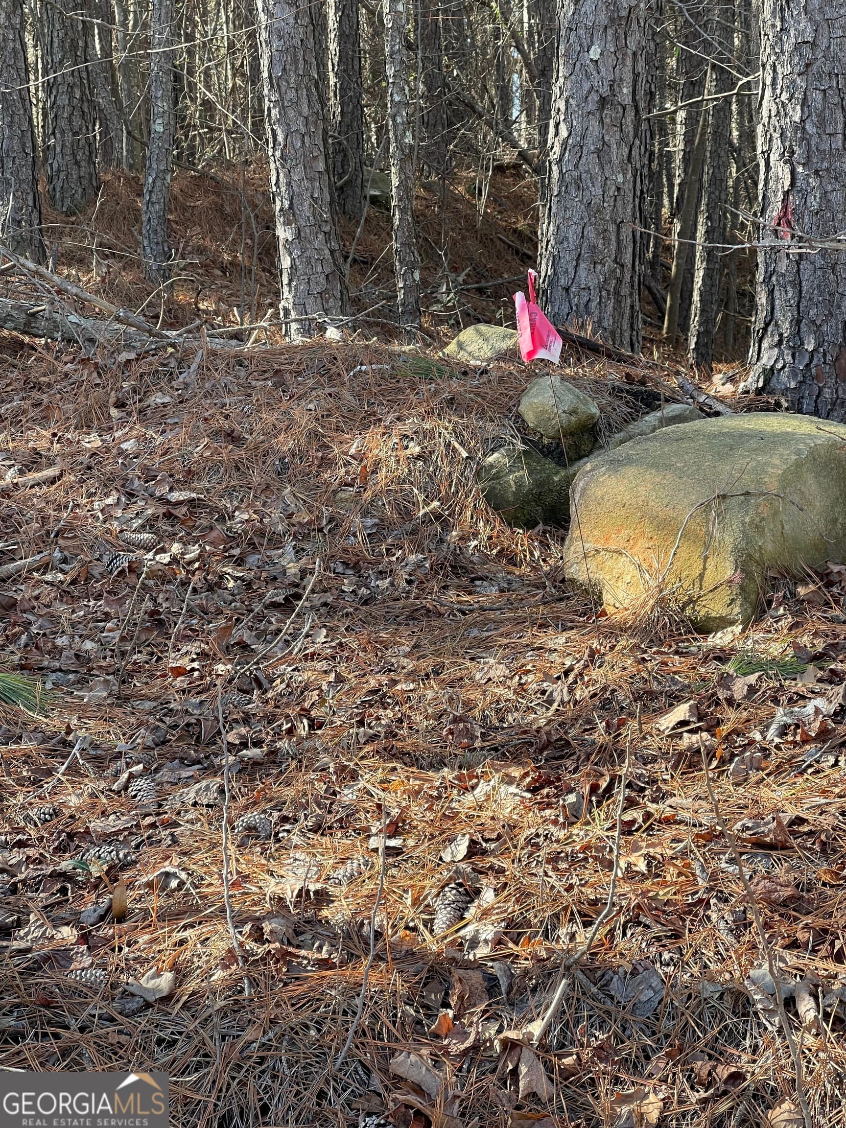 unimproved land for sale at 0 Shannon Parkway, Union City, GA 30291 — photo 7